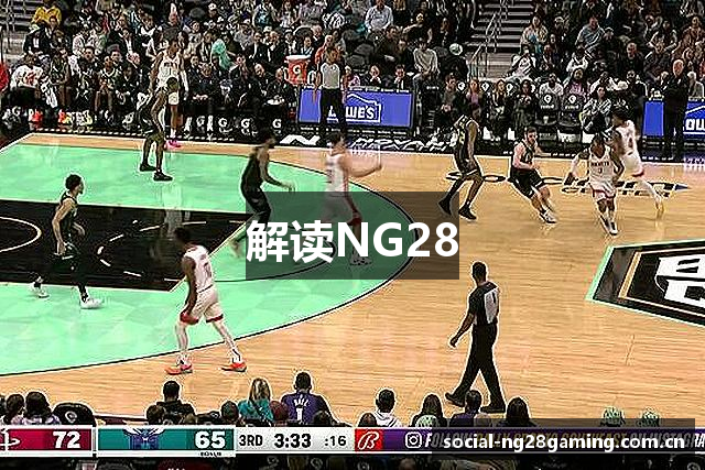 解读NG28